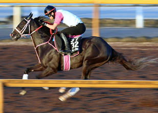 【京成杯ＡＨ・ヤマタケの特注馬】完全な差し競馬だった前走での踏ん張りを評価　レザベーションが得意の中山で踏ん張る