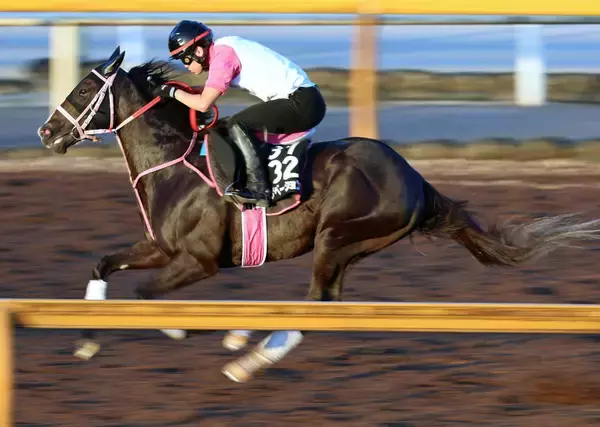 【京成杯ＡＨ・ヤマタケの特注馬】完全な差し競馬だった前走での踏ん張りを評価　レザベーションが得意の中山で踏ん張る