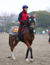 【阪神ＪＦ・角田の特注馬】しぶとい末脚は外回り向き！　ミツカネベネラが厩舎に初Ｇ１タイトルをもたらす