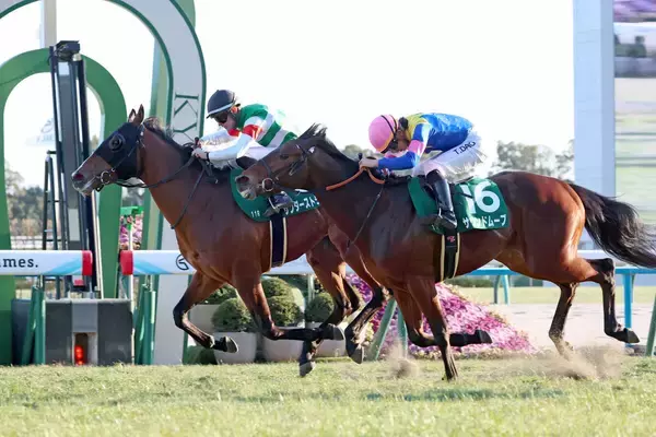 「何者やねん」「ＭＣハマー爆誕」９番人気の伏兵でシンザン記念を制したハマーハンセン騎手にネット称賛