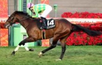 【注目馬動向】中山２５００メートルで連勝中！ミクニインスパイアは丹内祐次騎手で同舞台の日経賞へ