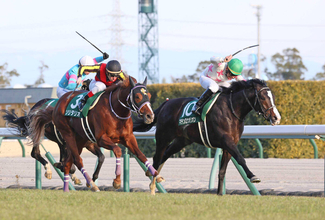 ２２年のシンザン記念を勝ったマテンロウオリオンが競走馬登録を抹消　阪神競馬場で乗馬に