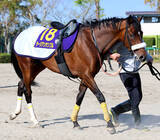 「【皐月賞・最終調整】「武井厩舎で重賞勝ちたい」高杉吏麒騎手ラージアンサンブルでＶなるか　トレーナーは「まだウチで...」」の画像1