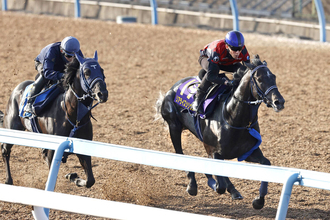 【日本ダービー・１週前】リアライズシリウスが早くも戦闘モード　手塚貴久調教師はレースが「今週でもいいくらい」と絶賛！