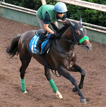 【小倉記念】前走香港Ｇ１・５着のジョバンニは８枠１７番　前走レコードＶのガイアメンテは３枠６番　枠順決定