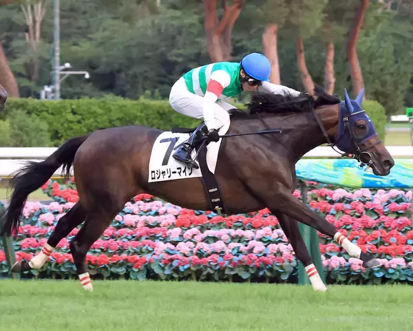 ２レース連続で３連単２００万円超！「魔境やん」「クソ荒れてたｗ」「無理だ」　暑熱対策初日の新潟競馬にネット驚がく