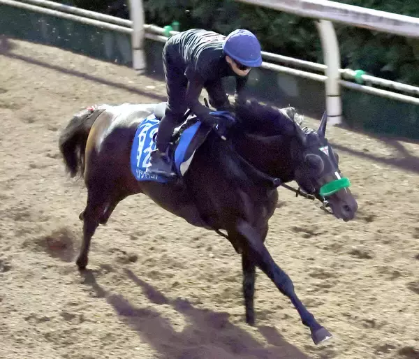 【毎日王冠】サトノシャイニングが長欠明けを叩き上昇気配　杉山晴調教師「ガス抜きができた」