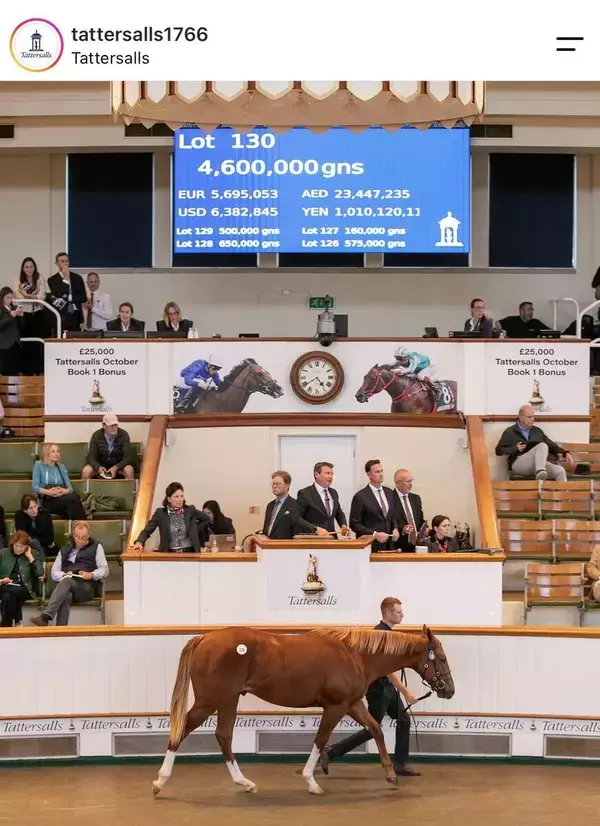 英国１歳馬セールで衝撃の″１０億円ホース”誕生　名門との一騎打ち制したゴドルフィンがナイトオブサンダー産駒を落札