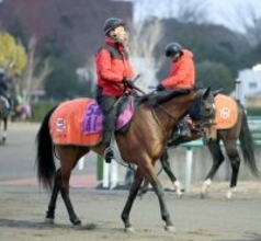【フェアリーＳ】重賞勝ち馬を半兄に持つノーザンタイタンは元気いっぱい　中舘調教師「体調もいい」