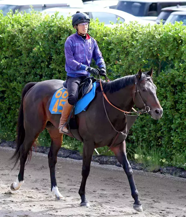【根岸Ｓ・浅子の特注馬】遅れてきた大物候補ウェイワードアクト　重賞初出走Ｖも十分可能な前走内容