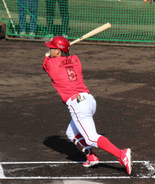 【広島】小園海斗がシート打撃で“侍１号”右翼ポール直撃の豪快弾で順調な仕上がりアピール