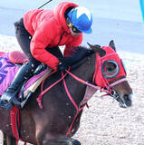 「【岩田康誠の熱血！！競馬道】クイーンＣのゴバドは１週前追い切りで好感触「しっかりした感じ。いい脚が使えそう」」の画像1