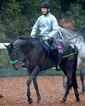 【共同通信杯】ホープフルＳ覇者ロブチェンが６枠６番　名牝クロノジェネシスの初子ベレシートは７枠７番