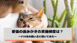 「愛猫の歯みがき、月１〜３回と“ほとんどしない”が合計５４．１％に　「嫌がる」が最大の壁に」の画像1