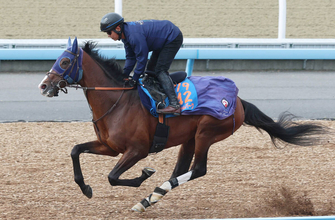 【日経賞】「ずいぶんいい」ローシャムパークはあえて単走で追い切り　田中博康調教師「しっかり仕上がってきている」