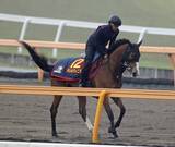 「日曜東京競馬場の注目激走馬…東京１１Ｒヴィクトリアマイル・Ｇ１」の画像1