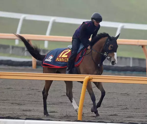 日曜東京競馬場の注目激走馬…東京１１Ｒヴィクトリアマイル・Ｇ１