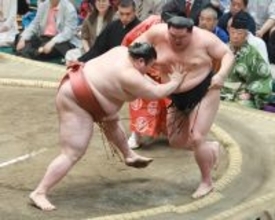関脇・熱海富士がお茶漬けの日に勝って五分に　永谷園から化粧まわし贈呈　以前はＣＭも「お茶漬けの日から白星重ねてほしい」