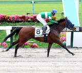 「東京３Ｒで単勝７９５・４倍のテンカラットレターが３着　複勝における東京競馬史上最高額をマーク」の画像1