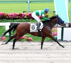 東京３Ｒで単勝７９５・４倍のテンカラットレターが３着　複勝における東京競馬史上最高額をマーク