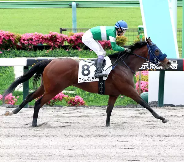 東京３Ｒで単勝７９５・４倍のテンカラットレターが３着　複勝における東京競馬史上最高額をマーク
