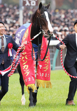 【岡田牧雄氏インタビュー前編】母デアリングタクトの当歳牡馬をセレクトセールに上場　父イクイノックスを絶賛「サンデーサイレンスのような時代が来るかも」
