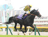 「ジャンタルマンタルが競走馬登録を抹消　種牡馬となる予定の社台スタリオンステーションに到着」の画像1
