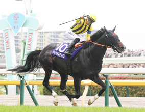 ジャンタルマンタルが競走馬登録を抹消　種牡馬となる予定の社台スタリオンステーションに到着