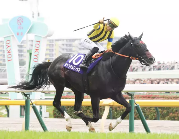 ジャンタルマンタルが競走馬登録を抹消　種牡馬となる予定の社台スタリオンステーションに到着