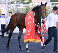 【セントライト記念】「この子の馬生の分岐点になる」尾形調教師自慢のサノノグレーターがＧ１へ向け前哨戦で結果を出す