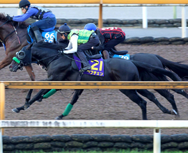 【菊花賞】３冠へロブチェンがＣＷコースで貫禄の先着　杉山晴調教師「今日の内容なら本当に言うことなかった」