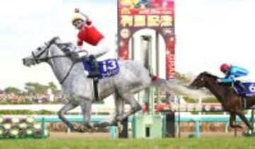 【ザ・ロイヤルファミリー】最終回で突然“白い怪物”登場…実在の有名馬が話題に「そっくり」「アイツやないか！！笑」