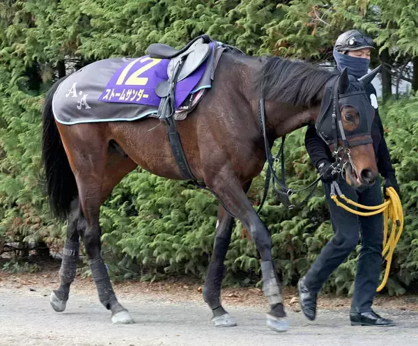 【岩田康誠の熱血！！競馬道】朝日杯ＦＳは夏からの成長を感じるストームサンダー　ロスない立ち回りで一発狙う