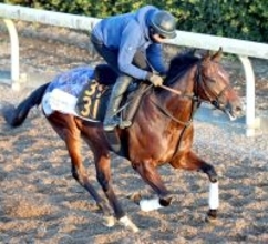 【ＰＯＧ】素材の良さが光るサトノクラシカル　宮田調教師「水準以上の脚力があると思う。初戦から好レースになる」