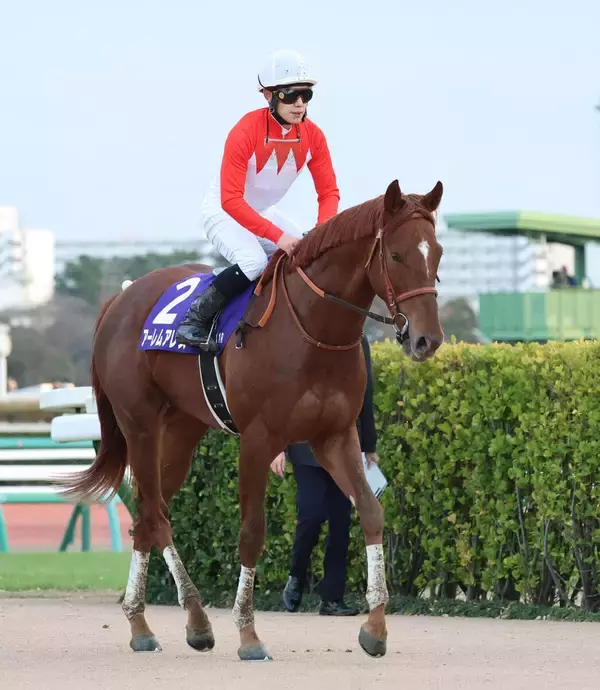 【注目馬動向】ホープフルＳ４着のアーレムアレスはすみれＳを視野　阪神Ｃ６着のヨシノイースターはオーシャンＳへ