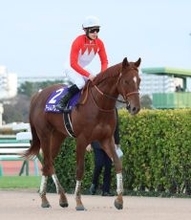 【注目馬動向】ホープフルＳ４着のアーレムアレスはすみれＳを視野　阪神Ｃ６着のヨシノイースターはオーシャンＳへ