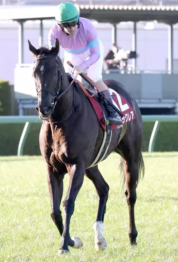 【注目馬動向】高松宮記念でラストランのナムラクレアは浜中俊騎手とのコンビ復活　長谷川調教師「苦楽をともに…」