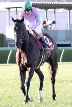 【注目馬動向】高松宮記念でラストランのナムラクレアは浜中俊騎手とのコンビ復活　長谷川調教師「苦楽をともに…」