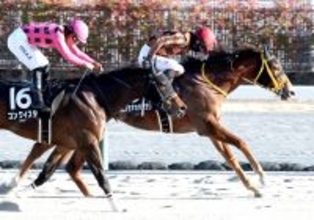 ２３年報知新聞社杯エーデルワイス賞制覇のモズミギカタアガリが引退　木村牧場で繁殖入りへ