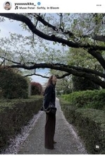 結婚発表の新木優子、最新投稿にファンから祝福コメント続々！「裕翔くんと世界一幸せになってね！」「末永くお幸せに」