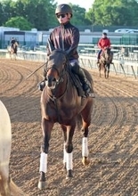 【チャーチルダウンズＳ】４歳馬テーオーエルビスが米国Ｇ１で圧勝！　生まれ故郷でＧ１初挑戦Ⅴの快挙