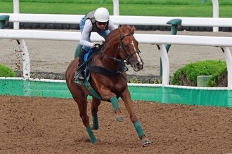 日曜札幌競馬場の注目激走馬…札幌１１Ｒ札幌記念・Ｇ２