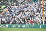 「【甲子園】 熊本代表・有明　地元から１０００人超えの応援　初出場でのベスト４入りへ大声援　いきなり初回に２盗塁」の画像1