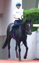 【神戸新聞杯】武豊騎手と５・９億円馬エムズビギンが初コンビ　「いい馬ですよ、間違いなく」と素質を評価