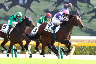 【東京５Ｒ・２歳新馬】ルメールが評価「伸びしろあります」Ｇ１・２着２回ファインルージュの初子ソーロブストＶ