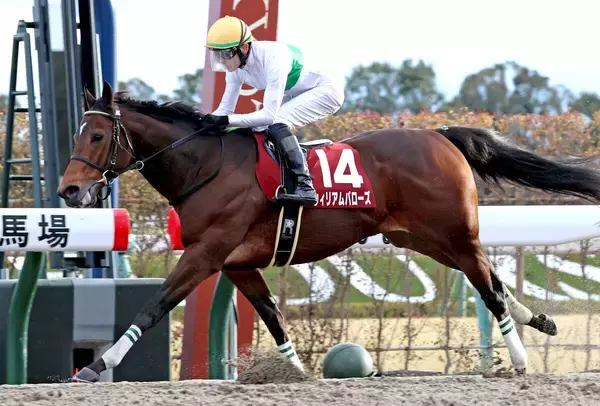 ダートグレード競走２勝のウィリアムバローズが競走馬登録を抹消　浦和競馬へ移籍の予定