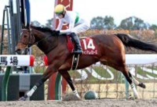 ダートグレード競走２勝のウィリアムバローズが競走馬登録を抹消　浦和競馬へ移籍の予定