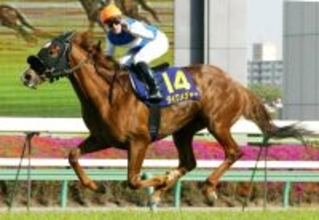 【追悼・ダイワメジャー】「のどはどう？」「鳴ってますよ」があいさつ代わり　想像を絶する走りでＧ１・５勝