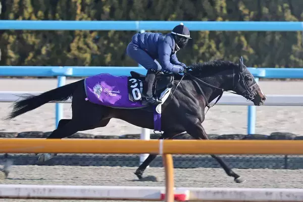 【きさらぎ賞】「気持ちよさそうに走っていましたね」５・９億円馬エムズビギンは友道調教師も納得の微調整