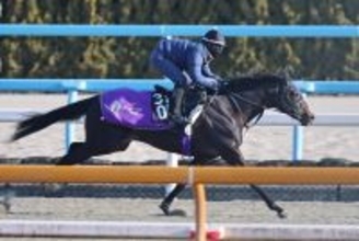 【きさらぎ賞】「気持ちよさそうに走っていましたね」５・９億円馬エムズビギンは友道調教師も納得の微調整